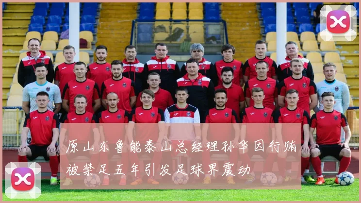 原山东鲁能泰山总经理孙华因行贿被禁足五年引发足球界震动